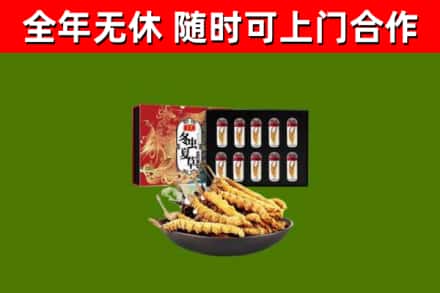 文昌烟酒回收冬虫夏草礼盒.jpg